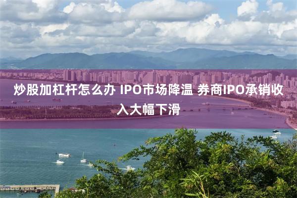 炒股加杠杆怎么办 IPO市场降温 券商IPO承销收入大幅下滑