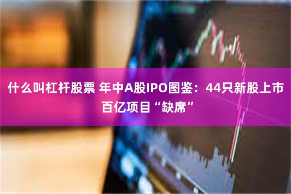 什么叫杠杆股票 年中A股IPO图鉴：44只新股上市 百亿项目“缺席”