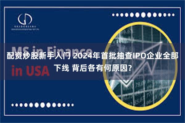 配资炒股新手入门 2024年首批抽查IPO企业全部下线 背后各有何原因？