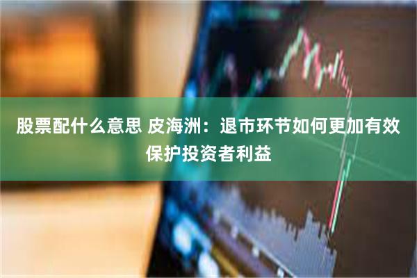 股票配什么意思 皮海洲：退市环节如何更加有效保护投资者利益