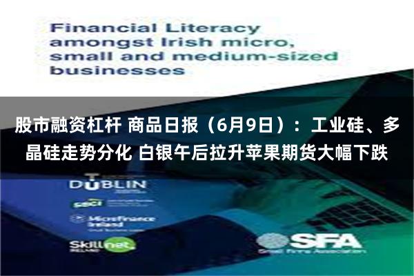 股市融资杠杆 商品日报（6月9日）：工业硅、多晶硅走势分化 白银午后拉升苹果期货大幅下跌