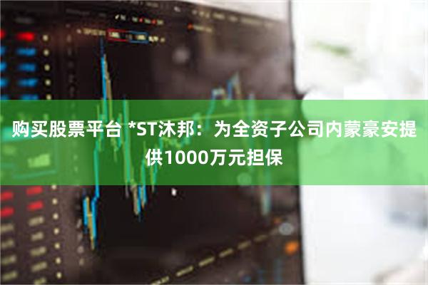 购买股票平台 *ST沐邦：为全资子公司内蒙豪安提供1000万元担保