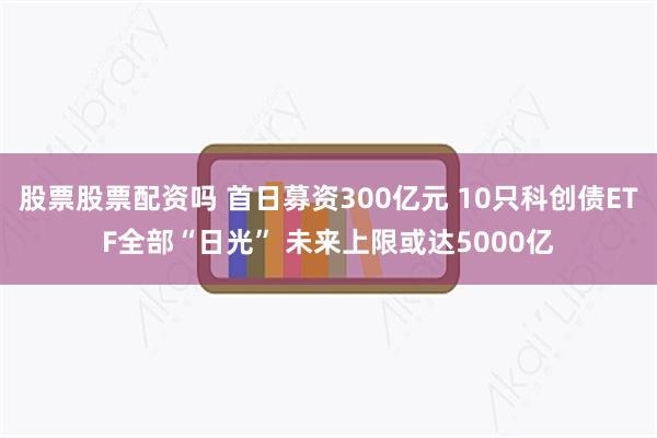 股票股票配资吗 首日募资300亿元 10只科创债ETF全部“日光” 未来上限或达5000亿