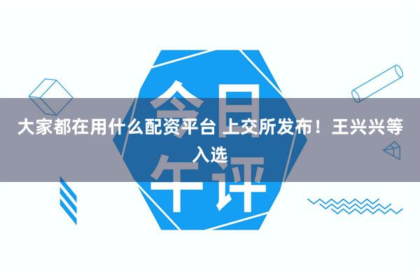 大家都在用什么配资平台 上交所发布！王兴兴等入选