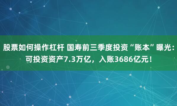 股票如何操作杠杆 国寿前三季度投资“账本”曝光:可投资资产7.3万亿,入账3686亿元!