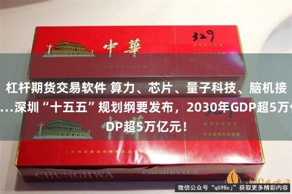 杠杆期货交易软件 算力、芯片、量子科技、脑机接口……深圳“十五五”规划纲要发布，2030年GDP超5万亿元！