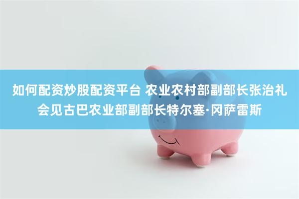如何配资炒股配资平台 农业农村部副部长张治礼会见古巴农业部副部长特尔塞·冈萨雷斯