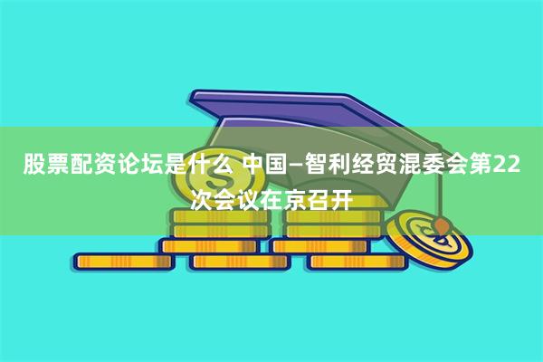 股票配资论坛是什么 中国—智利经贸混委会第22次会议在京召开