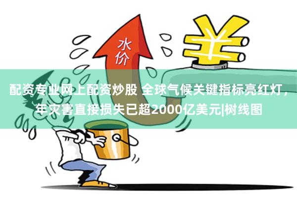 配资专业网上配资炒股 全球气候关键指标亮红灯，年灾害直接损失已超2000亿美元|树线图