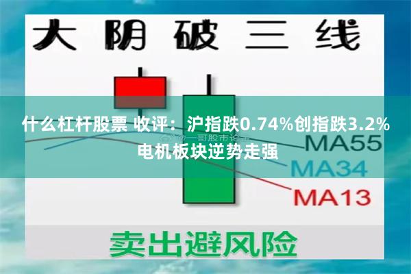 什么杠杆股票 收评：沪指跌0.74%创指跌3.2% 电机板块逆势走强