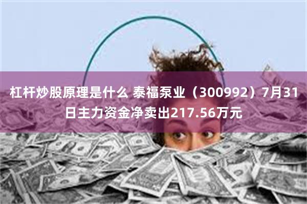 杠杆炒股原理是什么 泰福泵业（300992）7月31日主力资金净卖出217.56万元