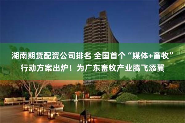 湖南期货配资公司排名 全国首个“媒体+畜牧”行动方案出炉！为广东畜牧产业腾飞添翼