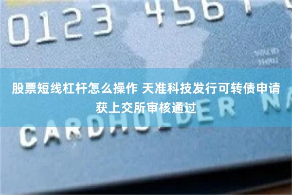 股票短线杠杆怎么操作 天准科技发行可转债申请获上交所审核通过