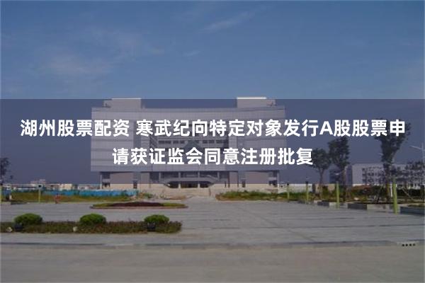 湖州股票配资 寒武纪向特定对象发行A股股票申请获证监会同意注册批复