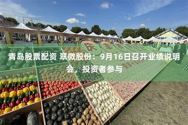 青岛股票配资 翠微股份：9月16日召开业绩说明会，投资者参与