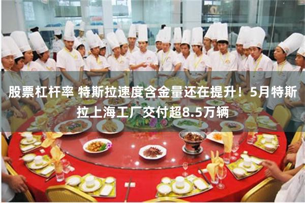 股票杠杆率 特斯拉速度含金量还在提升！5月特斯拉上海工厂交付超8.5万辆