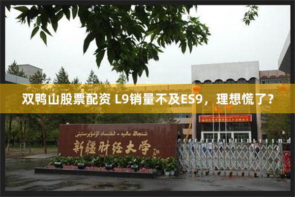 双鸭山股票配资 L9销量不及ES9，理想慌了？