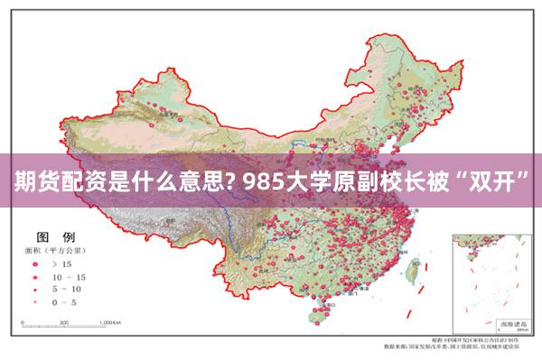 期货配资是什么意思? 985大学原副校长被“双开”