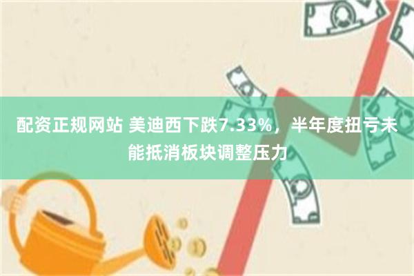配资正规网站 美迪西下跌7.33%，半年度扭亏未能抵消板块调整压力