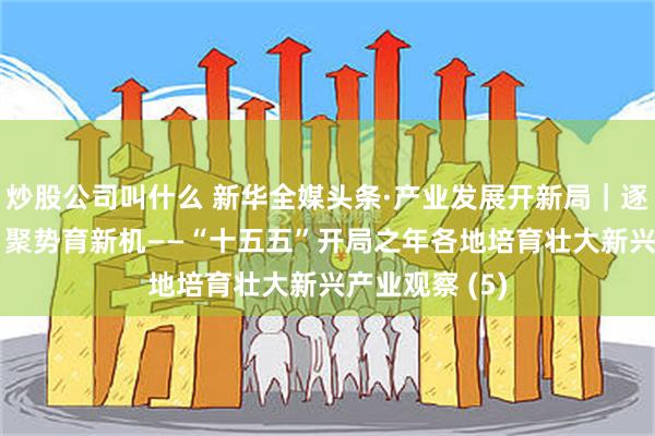 炒股公司叫什么 新华全媒头条·产业发展开新局｜逐“新”向未来 聚势育新机——“十五五”开局之年各地培育壮大新兴产业观察 (5)