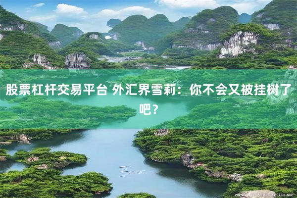 股票杠杆交易平台 外汇界雪莉：你不会又被挂树了吧？