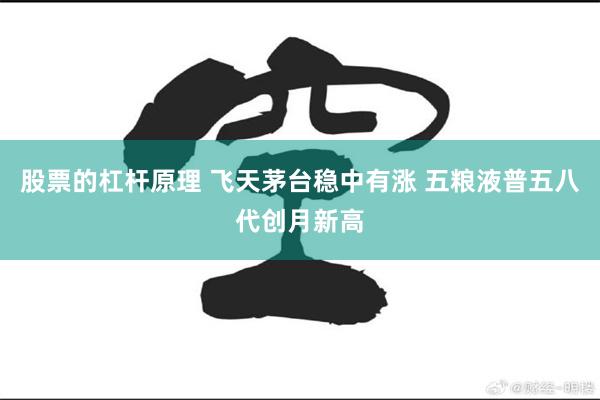 股票的杠杆原理 飞天茅台稳中有涨 五粮液普五八代创月新高