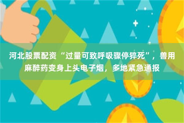 河北股票配资 “过量可致呼吸骤停猝死”，兽用麻醉药变身上头电子烟，多地紧急通报