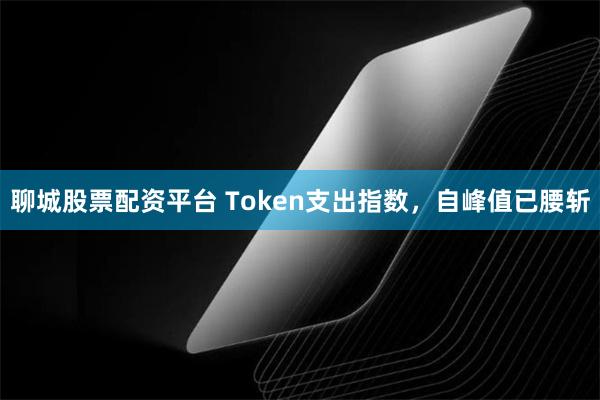 聊城股票配资平台 Token支出指数，自峰值已腰斩