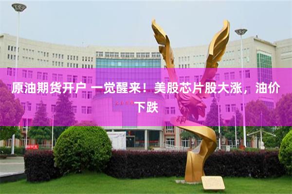 原油期货开户 一觉醒来！美股芯片股大涨，油价下跌