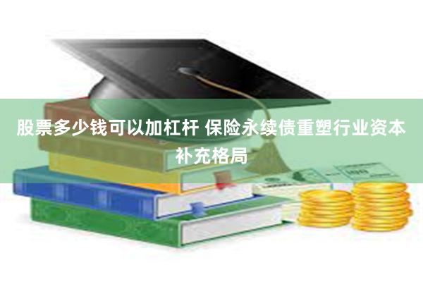 股票多少钱可以加杠杆 保险永续债重塑行业资本补充格局
