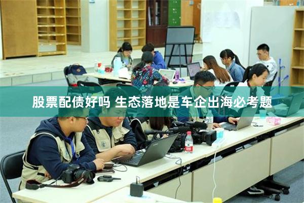 股票配债好吗 生态落地是车企出海必考题